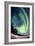 Aurora Borealis In Alaska-Chris Madeley-Framed Photographic Print