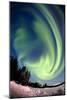 Aurora Borealis In Alaska-Chris Madeley-Mounted Photographic Print