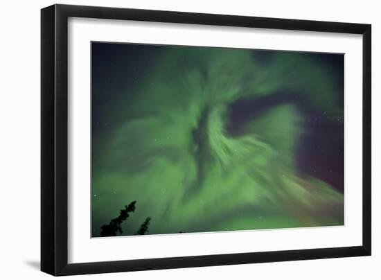 Aurora Borealis in Clear Skies, Yukon, Canda-null-Framed Photographic Print