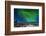 Aurora Borealis in Norway 1-Philippe Sainte-Laudy-Framed Photographic Print