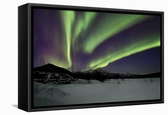 Aurora Borealis IV-Larry Malvin-Framed Premier Image Canvas