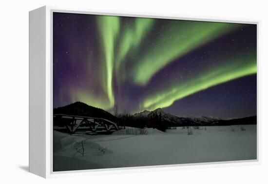 Aurora Borealis IV-Larry Malvin-Framed Premier Image Canvas