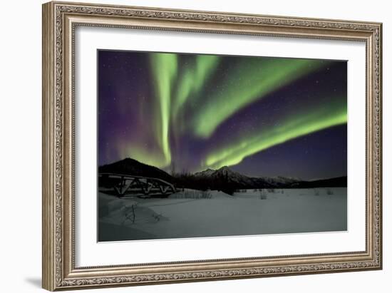 Aurora Borealis IV-Larry Malvin-Framed Photographic Print