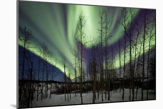 Aurora Borealis IX-Larry Malvin-Mounted Photographic Print