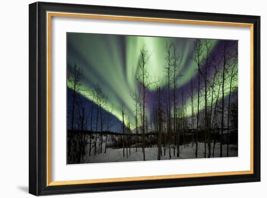 Aurora Borealis IX-Larry Malvin-Framed Photographic Print