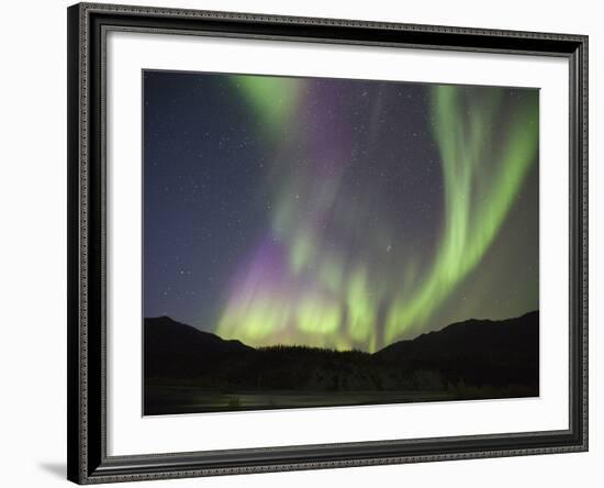 Aurora Borealis, Koyukuk River, Alaska, USA-Hugh Rose-Framed Photographic Print