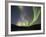 Aurora Borealis, Koyukuk River, Alaska, USA-Hugh Rose-Framed Photographic Print