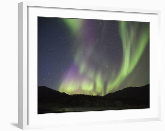 Aurora Borealis, Koyukuk River, Alaska, USA-Hugh Rose-Framed Photographic Print