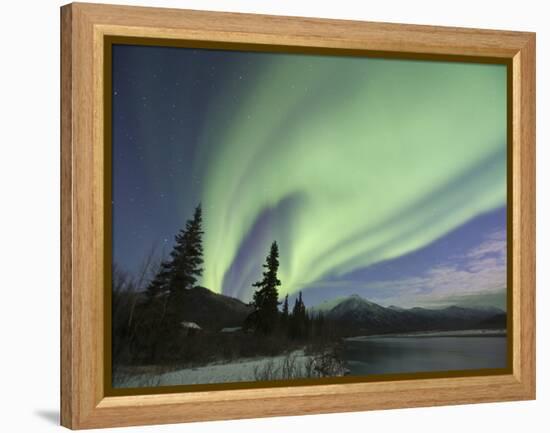 Aurora Borealis, Koyukuk River, Alaska, USA-Hugh Rose-Framed Premier Image Canvas