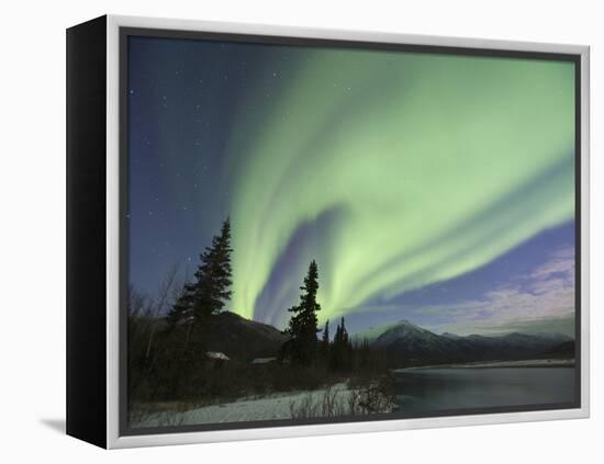 Aurora Borealis, Koyukuk River, Alaska, USA-Hugh Rose-Framed Premier Image Canvas