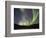 Aurora Borealis, Koyukuk River, Alaska, USA-Hugh Rose-Framed Photographic Print