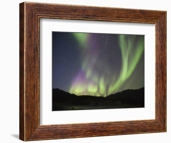 Aurora Borealis, Koyukuk River, Alaska, USA-Hugh Rose-Framed Photographic Print