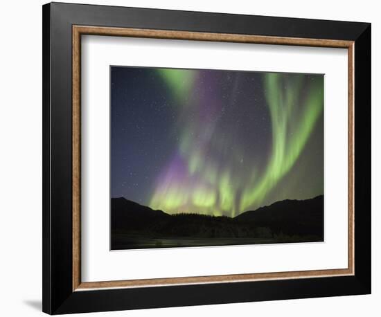 Aurora Borealis, Koyukuk River, Alaska, USA-Hugh Rose-Framed Photographic Print