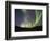 Aurora Borealis, Koyukuk River, Alaska, USA-Hugh Rose-Framed Photographic Print