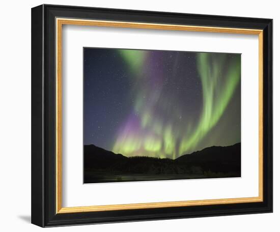 Aurora Borealis, Koyukuk River, Alaska, USA-Hugh Rose-Framed Photographic Print