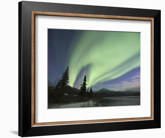 Aurora Borealis, Koyukuk River, Alaska, USA-Hugh Rose-Framed Photographic Print