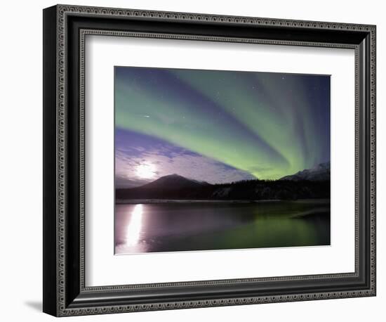 Aurora Borealis, Koyukuk River, Alaska, USA-Hugh Rose-Framed Photographic Print