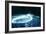 Aurora Borealis (Northern Light) Viewed from Space-null-Framed Photographic Print