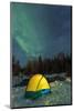 Aurora borealis, Northern Lights, and illuminated tent near Fairbanks, Alaska-Stuart Westmorland-Mounted Photographic Print
