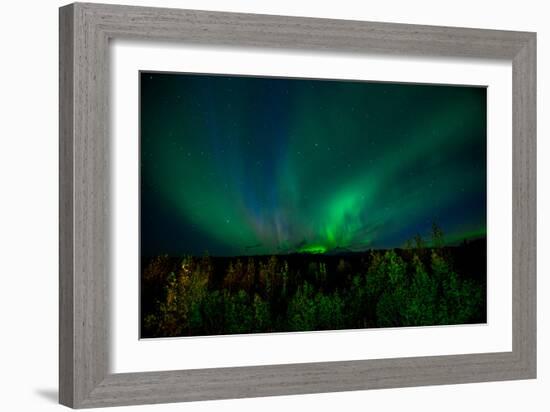 Aurora Borealis (Northern Lights) from Denali Princess Wilderness Lodge, Denali Nat'l Park, USA-Laura Grier-Framed Photographic Print
