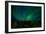 Aurora Borealis (Northern Lights) from Denali Princess Wilderness Lodge, Denali Nat'l Park, USA-Laura Grier-Framed Photographic Print