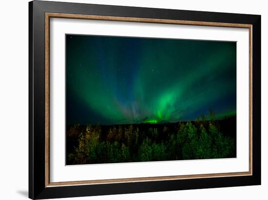 Aurora Borealis (Northern Lights) from Denali Princess Wilderness Lodge, Denali Nat'l Park, USA-Laura Grier-Framed Photographic Print