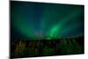 Aurora Borealis (Northern Lights) from Denali Princess Wilderness Lodge, Denali Nat'l Park, USA-Laura Grier-Mounted Photographic Print