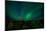 Aurora Borealis (Northern Lights) from Denali Princess Wilderness Lodge, Denali Nat'l Park, USA-Laura Grier-Mounted Photographic Print