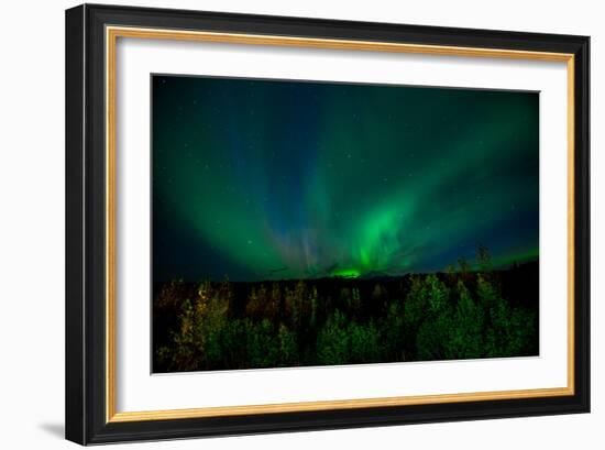 Aurora Borealis (Northern Lights) from Denali Princess Wilderness Lodge, Denali Nat'l Park, USA-Laura Grier-Framed Photographic Print