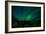 Aurora Borealis (Northern Lights) from Denali Princess Wilderness Lodge, Denali Nat'l Park, USA-Laura Grier-Framed Photographic Print