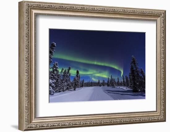 Aurora borealis, Northern Lights near Fairbanks, Alaska-Stuart Westmorland-Framed Photographic Print