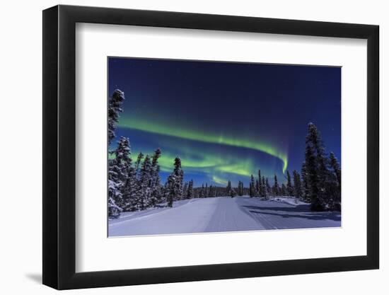 Aurora borealis, Northern Lights near Fairbanks, Alaska-Stuart Westmorland-Framed Photographic Print