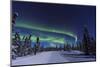 Aurora borealis, Northern Lights near Fairbanks, Alaska-Stuart Westmorland-Mounted Photographic Print