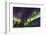 Aurora borealis, northern lights, near Fairbanks, Alaska-Stuart Westmorland-Framed Photographic Print