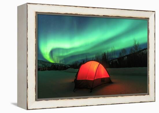 Aurora borealis, northern lights near Fairbanks, Alaska-Stuart Westmorland-Framed Premier Image Canvas