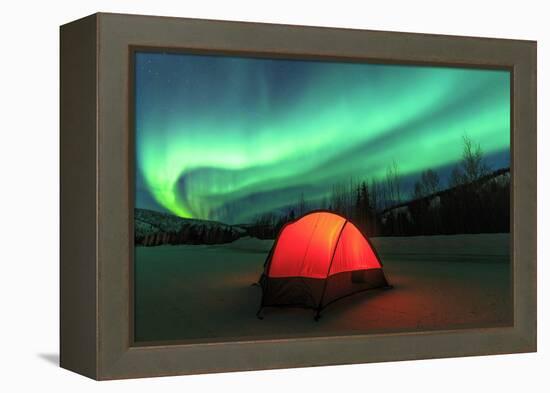 Aurora borealis, northern lights near Fairbanks, Alaska-Stuart Westmorland-Framed Premier Image Canvas