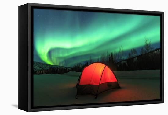 Aurora borealis, northern lights near Fairbanks, Alaska-Stuart Westmorland-Framed Premier Image Canvas