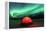 Aurora borealis, northern lights near Fairbanks, Alaska-Stuart Westmorland-Framed Premier Image Canvas