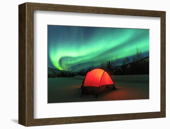 Aurora borealis, northern lights near Fairbanks, Alaska-Stuart Westmorland-Framed Photographic Print