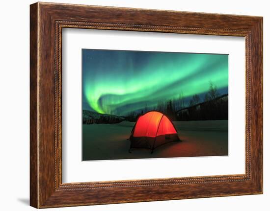 Aurora borealis, northern lights near Fairbanks, Alaska-Stuart Westmorland-Framed Photographic Print