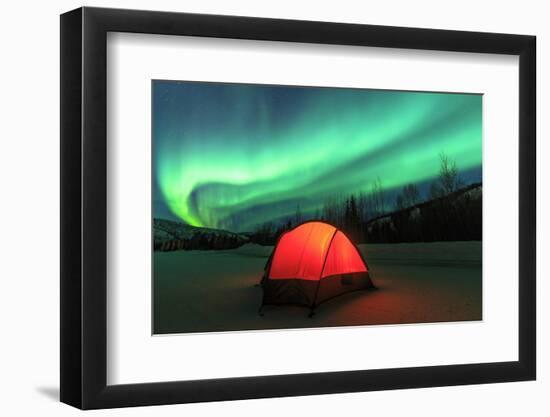 Aurora borealis, northern lights near Fairbanks, Alaska-Stuart Westmorland-Framed Photographic Print