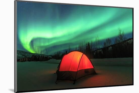 Aurora borealis, northern lights near Fairbanks, Alaska-Stuart Westmorland-Mounted Photographic Print