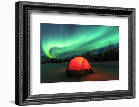 Aurora borealis, northern lights near Fairbanks, Alaska-Stuart Westmorland-Framed Photographic Print