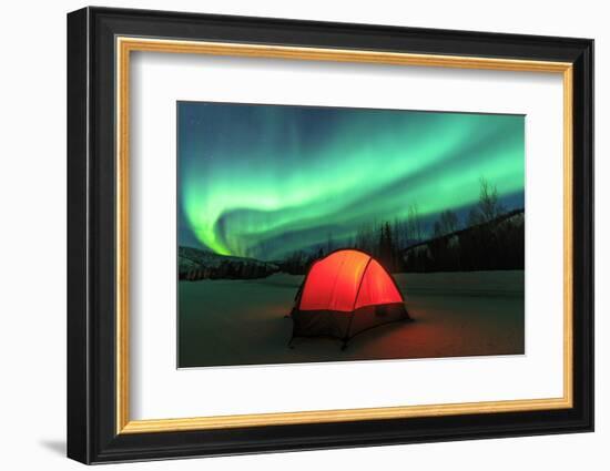 Aurora borealis, northern lights near Fairbanks, Alaska-Stuart Westmorland-Framed Photographic Print