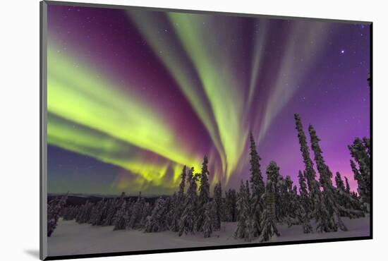 Aurora borealis, northern lights, near Fairbanks, Alaska-Stuart Westmorland-Mounted Photographic Print