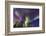 Aurora borealis, Northern Lights, near Fairbanks, Alaska-Stuart Westmorland-Framed Photographic Print