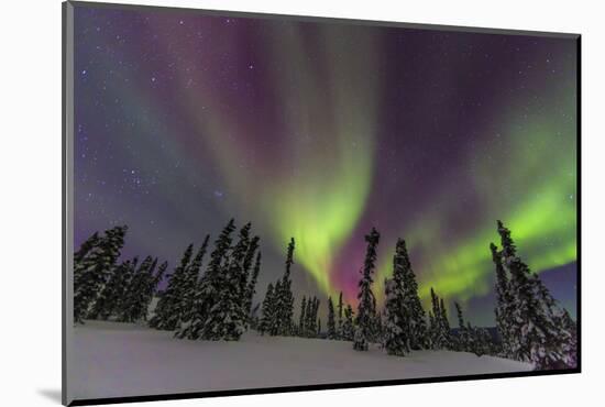 Aurora borealis, Northern Lights, near Fairbanks, Alaska-Stuart Westmorland-Mounted Photographic Print