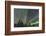 Aurora borealis, Northern Lights, near Fairbanks, Alaska-Stuart Westmorland-Framed Photographic Print