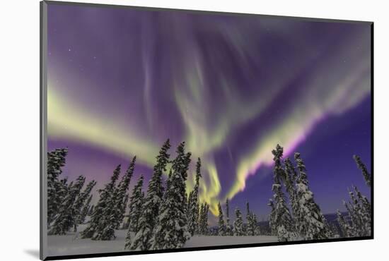 Aurora borealis, Northern Lights, near Fairbanks, Alaska-Stuart Westmorland-Mounted Photographic Print