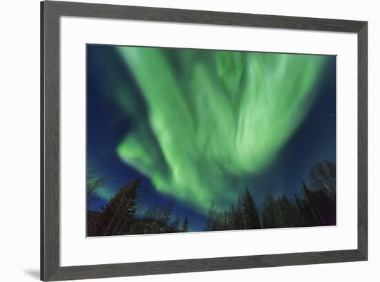 Aurora borealis, Northern Lights, near Fairbanks, Alaska-Stuart Westmorland-Framed Photographic Print